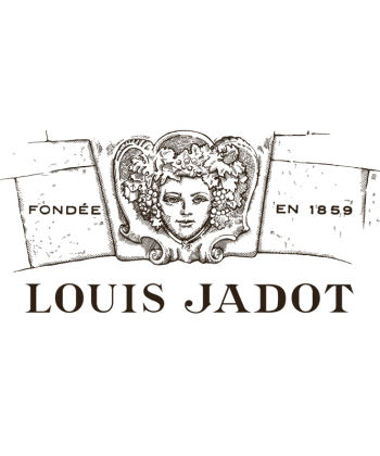 品飲勃根地葡萄酒界裡炙手可熱的 Louis Jadot